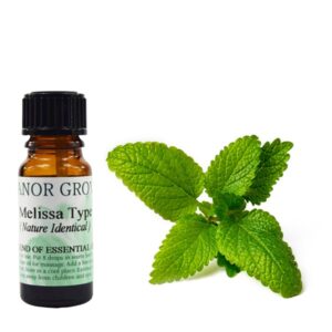 Melissa Type Essential Oil, Melissa Type Oil