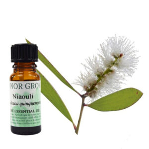 Niaouli Essential Oil