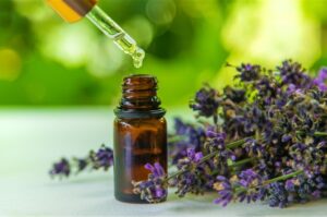 lavender essential oil