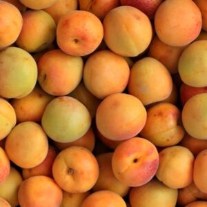 Apricot kernel oil