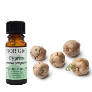 Cypress Essential Oil