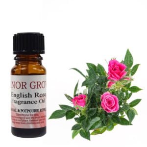 English Rose Fragrance Oil