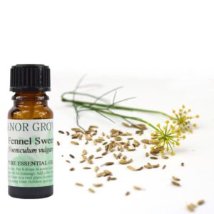 fennel essential oil