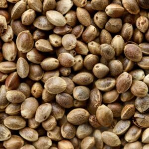 hempseed oil