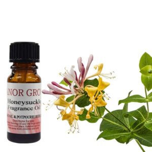 honeysuckle fragrance
