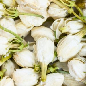 Jasmine fragrance oil, jasmine oil