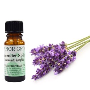 Lavender Spike Essential Oil, spike lavender, lavender spike oil