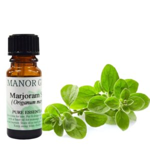 Marjoram Essential Oil, Marjoram Oil