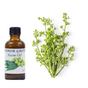 neem oil