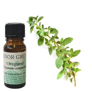 oregano oil