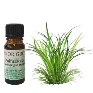 palmarosa essential oil
