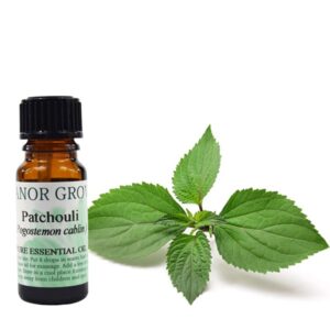 Patchouli Essential Oil, pure essential oils