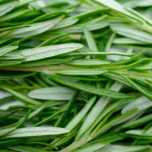 rosemary leaves