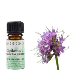 Spikenard Essential Oil