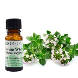 thyme white