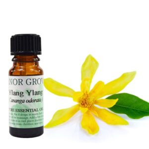 Ylang Ylang Essential Oil, Ylang Ylang Oil