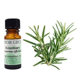 Christmas Gift Set 4, Rosemary Essential Oil